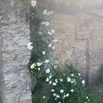 Modry Dom Apartamento Levoča
