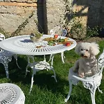 Modry Dom Apartamento *