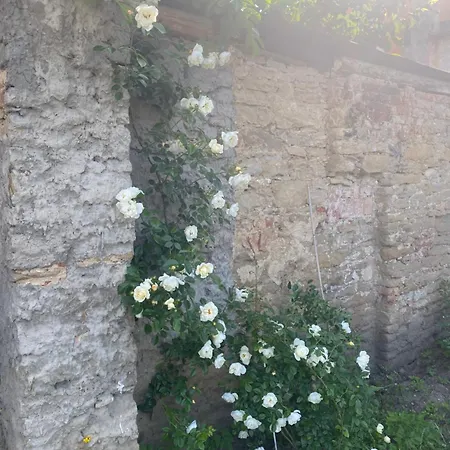 Modry Dom Appartement Levoča