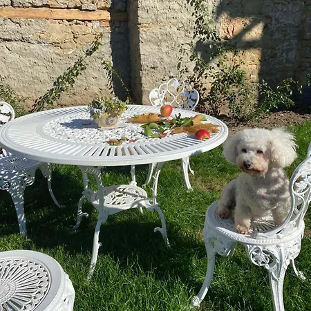 Modry Dom Appartamento *