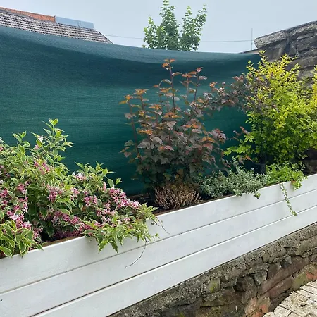 Appartamento Modry Dom