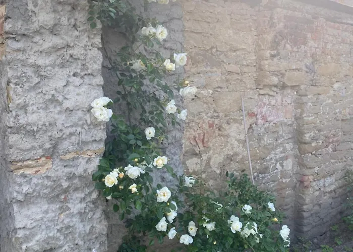 Modry Dom Apartmán Levoca