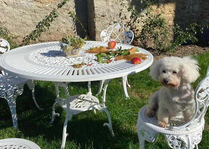 Modry Dom Apartman *